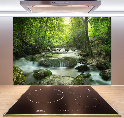 Crédence cuisine en verre Chute d'eau dans la forêt