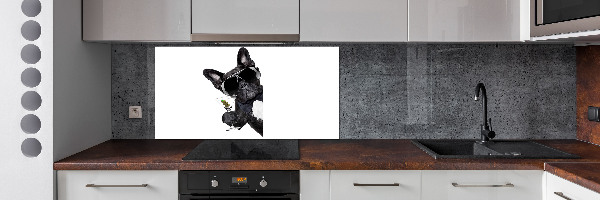 Panneau crédence cuisine Chien avec un martini