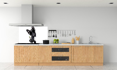 Panneau crédence cuisine Chien avec un martini