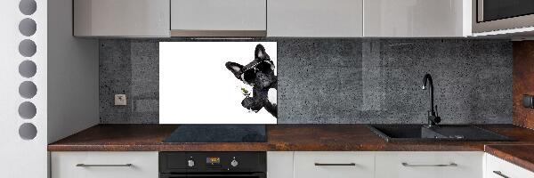 Panneau crédence cuisine Chien avec un martini