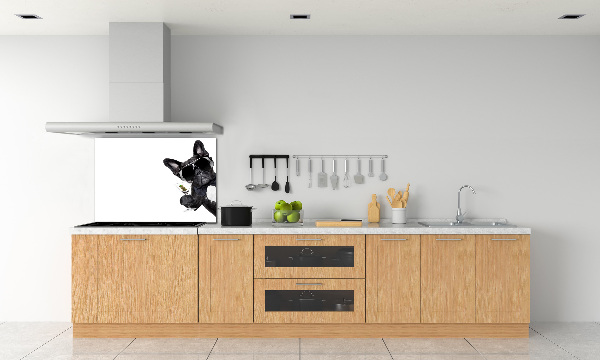 Panneau crédence cuisine Chien avec un martini