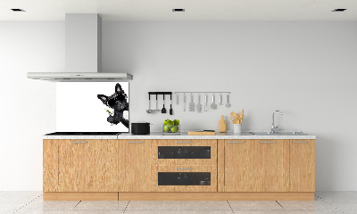 Panneau crédence cuisine Chien avec un martini