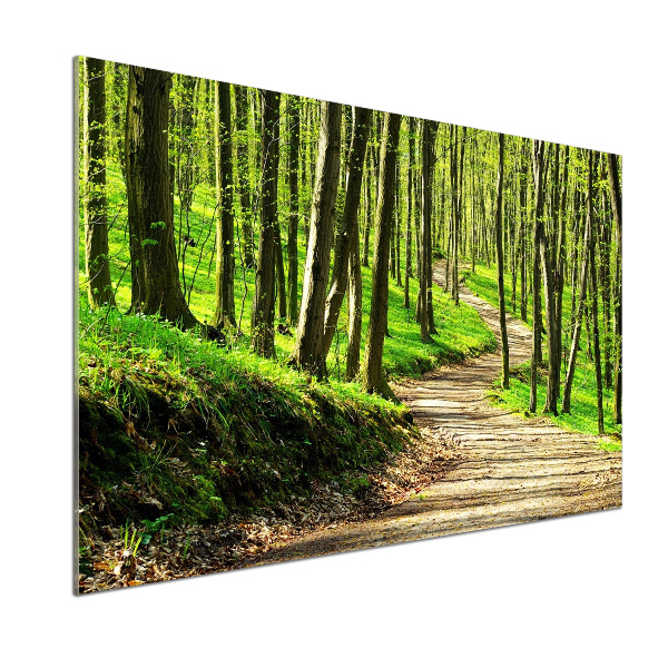 Crédence en verre avec motif Sentier dans la forêt