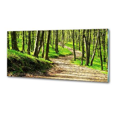 Crédence en verre avec motif Sentier dans la forêt