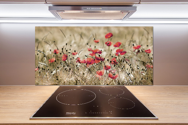 Crédence en verre cuisine Coquelicots