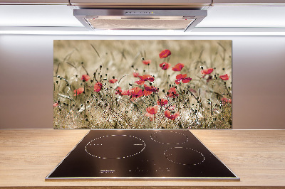 Crédence en verre cuisine Coquelicots