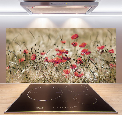 Crédence en verre cuisine Coquelicots