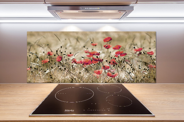 Crédence en verre cuisine Coquelicots