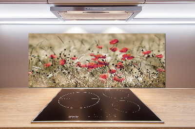 Crédence en verre cuisine Coquelicots