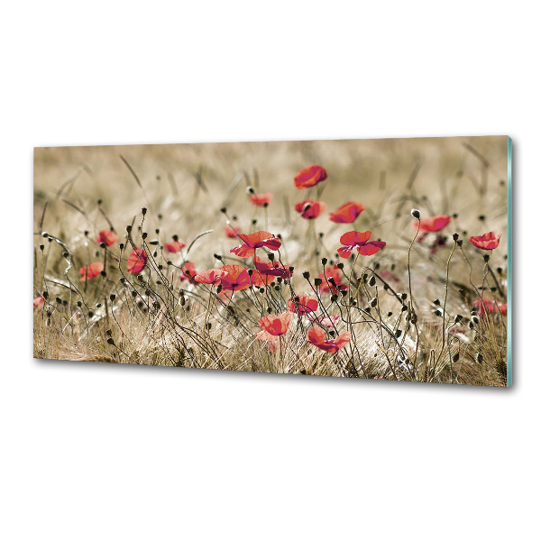 Crédence en verre cuisine Coquelicots