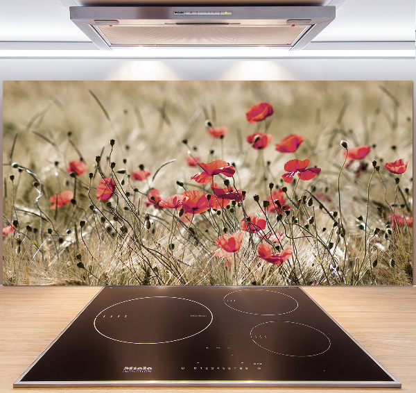 Crédence en verre cuisine Coquelicots