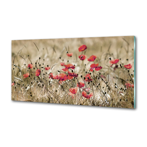 Crédence en verre cuisine Coquelicots