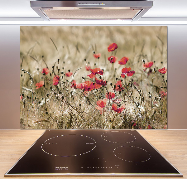 Crédence en verre cuisine Coquelicots