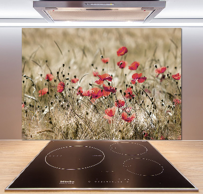 Crédence en verre cuisine Coquelicots
