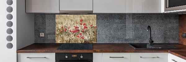 Crédence en verre cuisine Coquelicots
