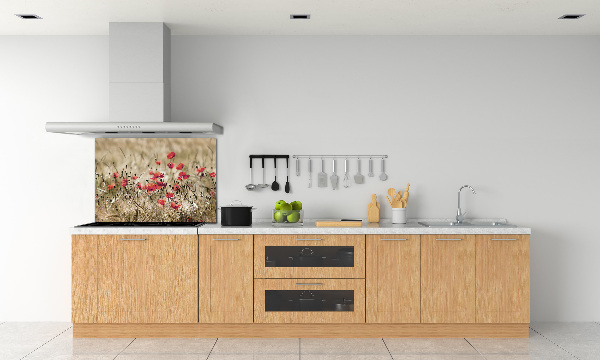 Crédence en verre cuisine Coquelicots
