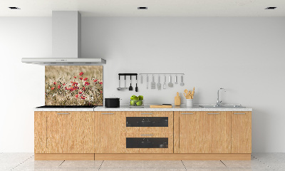 Crédence en verre cuisine Coquelicots