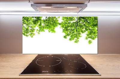 Crédence cuisine en verre Feuilles de chêne