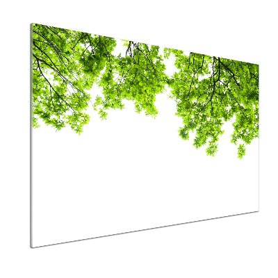 Crédence cuisine en verre Feuilles de chêne