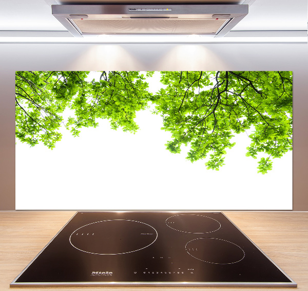 Crédence cuisine en verre Feuilles de chêne