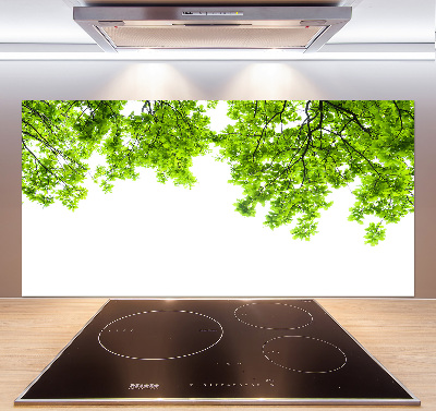 Crédence cuisine en verre Feuilles de chêne