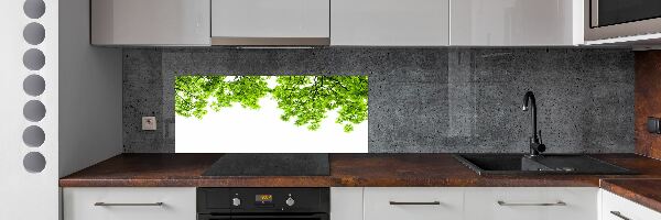 Crédence cuisine en verre Feuilles de chêne