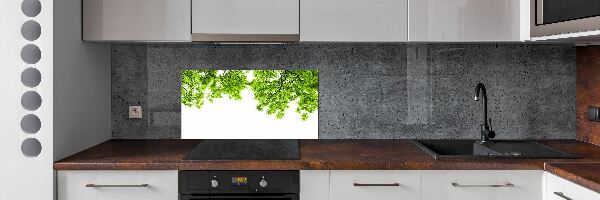 Crédence cuisine en verre Feuilles de chêne