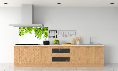 Crédence cuisine en verre Feuilles de chêne