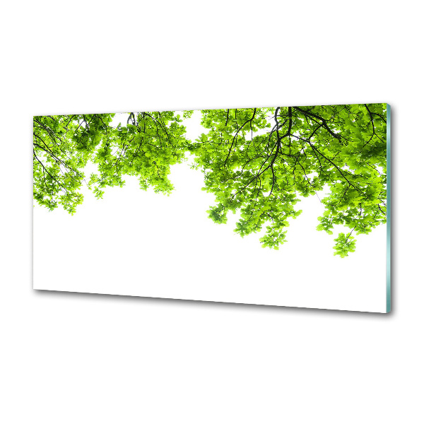 Crédence cuisine en verre Feuilles de chêne