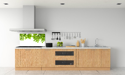 Crédence cuisine en verre Feuilles de chêne