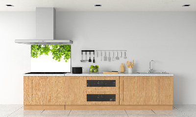 Crédence cuisine en verre Feuilles de chêne