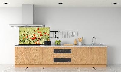 Crédence cuisine en verre trempé Maki