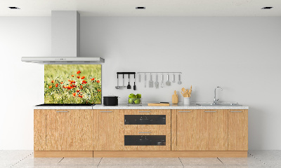 Crédence cuisine en verre trempé Maki