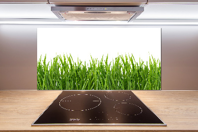 Panneau pour cuisine Herbe
