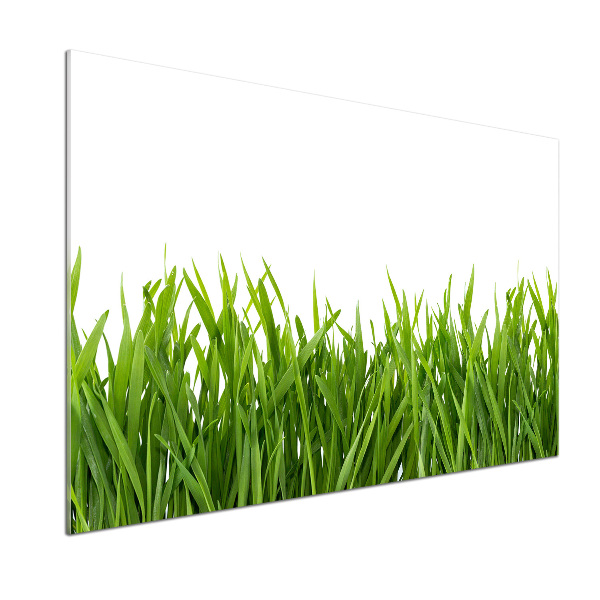 Panneau pour cuisine Herbe