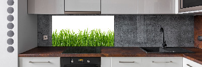 Panneau pour cuisine Herbe
