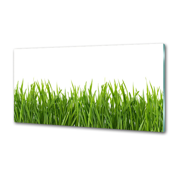 Panneau pour cuisine Herbe