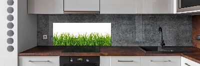 Panneau pour cuisine Herbe