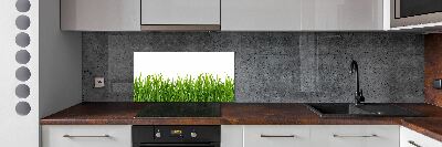Panneau pour cuisine Herbe