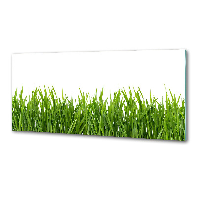 Panneau pour cuisine Herbe