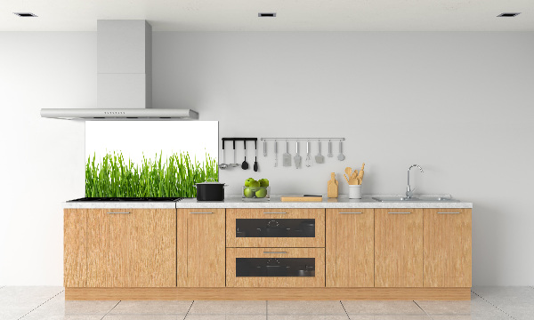 Panneau pour cuisine Herbe