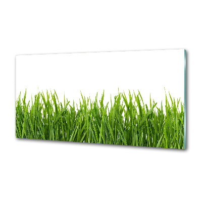 Panneau pour cuisine Herbe