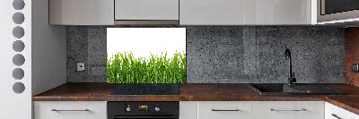 Panneau pour cuisine Herbe