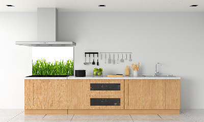 Panneau pour cuisine Herbe