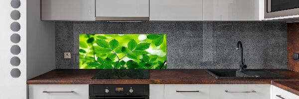 Crédence en verre avec motif Feuilles vertes