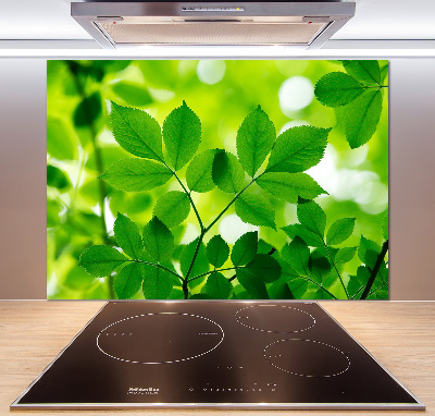 Crédence en verre avec motif Feuilles vertes