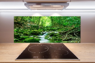 Panneau crédence cuisine Ruisseau dans la forêt