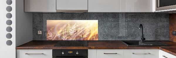Crédence de cuisine Grandes herbes