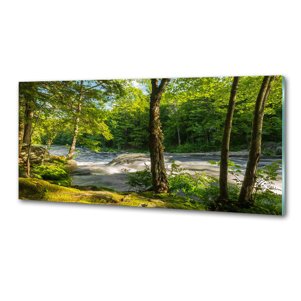 Crédence en verre Rivière dans la forêt
