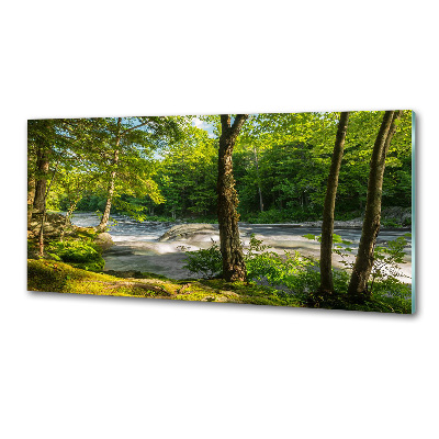 Crédence en verre Rivière dans la forêt
